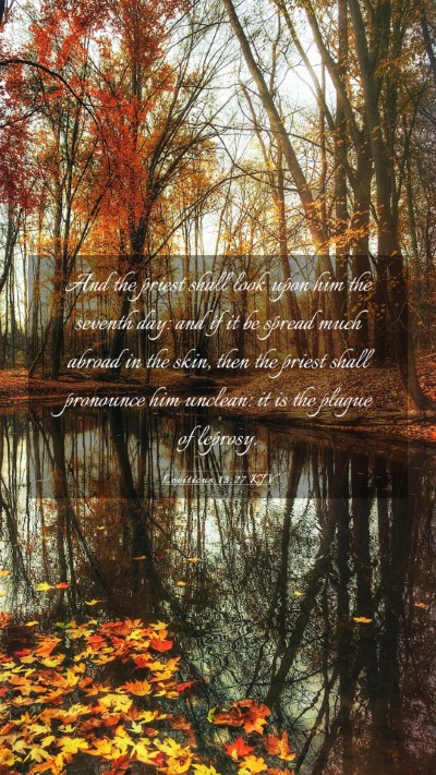 Picture 03 - Leviticus 13:27 KJV Mobile Phone Wallpaper - And the priest shall look upon him the seventh - Mobile Bible Verse Wallpaper