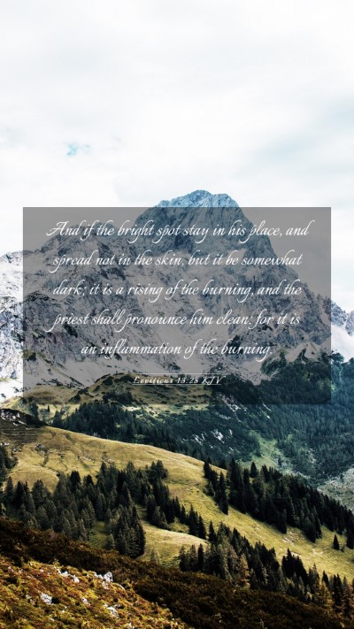 Picture 03 - Leviticus 13:28 KJV Mobile Phone Wallpaper - And if the bright spot stay in his place, and - Mobile Bible Verse Wallpaper