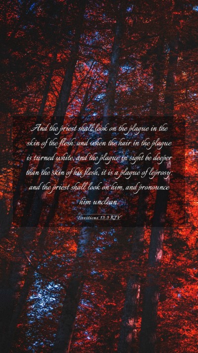 Picture 03 - Leviticus 13:3 KJV Mobile Phone Wallpaper - And the priest shall look on the plague in the - Mobile Bible Verse Wallpaper
