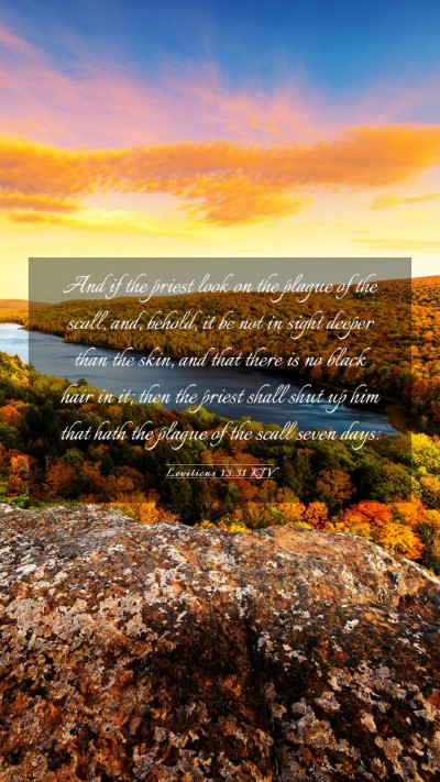 Picture 03 - Leviticus 13:31 KJV Mobile Phone Wallpaper - And if the priest look on the plague of the - Mobile Bible Verse Wallpaper