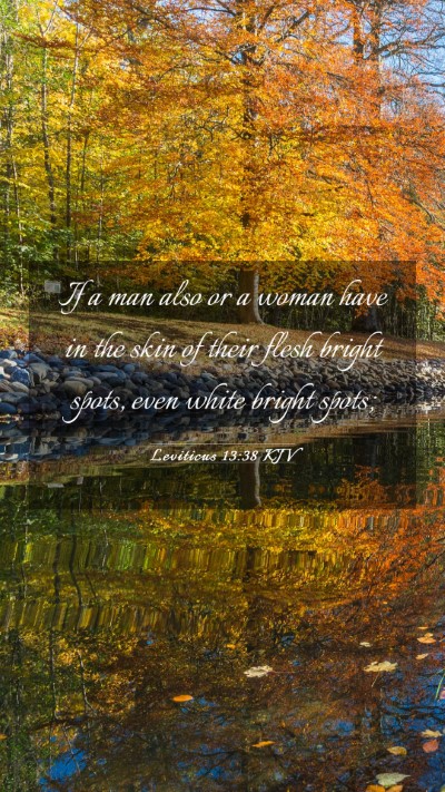 Picture 03 - Leviticus 13:38 KJV Mobile Phone Wallpaper - If a man also or a woman have in the skin of - Mobile Bible Verse Wallpaper