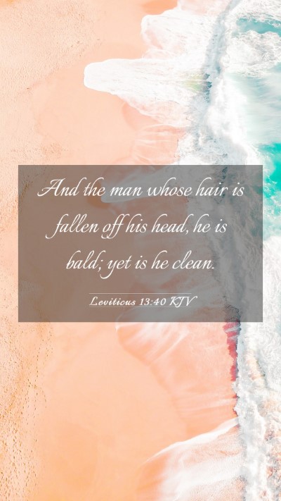 Picture 03 - Leviticus 13:40 KJV Mobile Phone Wallpaper - And the man whose hair is fallen off his head, he - Mobile Bible Verse Wallpaper