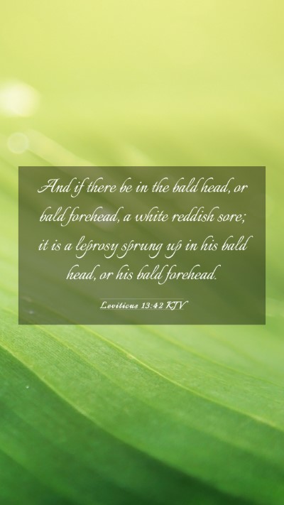 Picture 03 - Leviticus 13:42 KJV Mobile Phone Wallpaper - And if there be in the bald head, or bald - Mobile Bible Verse Wallpaper