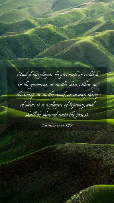 Picture 03 - Leviticus 13:49 KJV Mobile Phone Wallpaper - And if the plague be greenish or reddish in the - Mobile Bible Verse Wallpaper