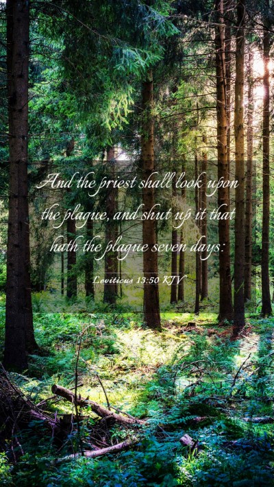 Picture 03 - Leviticus 13:50 KJV Mobile Phone Wallpaper - And the priest shall look upon the plague, and - Mobile Bible Verse Wallpaper
