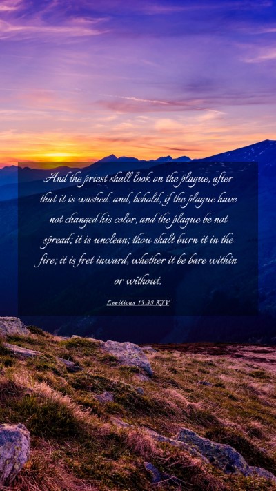 Picture 03 - Leviticus 13:55 KJV Mobile Phone Wallpaper - And the priest shall look on the plague, after - Mobile Bible Verse Wallpaper