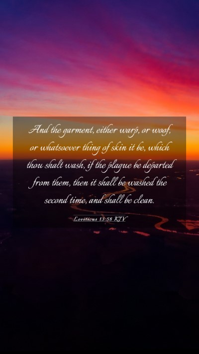 Picture 03 - Leviticus 13:58 KJV Mobile Phone Wallpaper - And the garment, either warp, or woof, or - Mobile Bible Verse Wallpaper