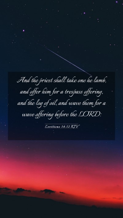 Picture 03 - Leviticus 14:12 KJV Mobile Phone Wallpaper - And the priest shall take one he lamb, and offer - Mobile Bible Verse Wallpaper