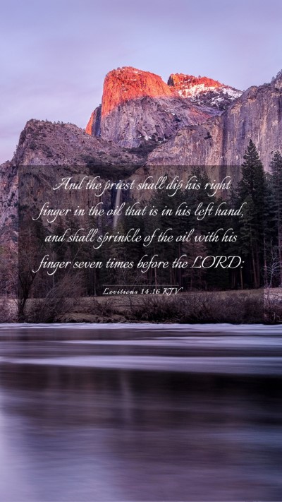 Picture 03 - Leviticus 14:16 KJV Mobile Phone Wallpaper - And the priest shall dip his right finger in the - Mobile Bible Verse Wallpaper