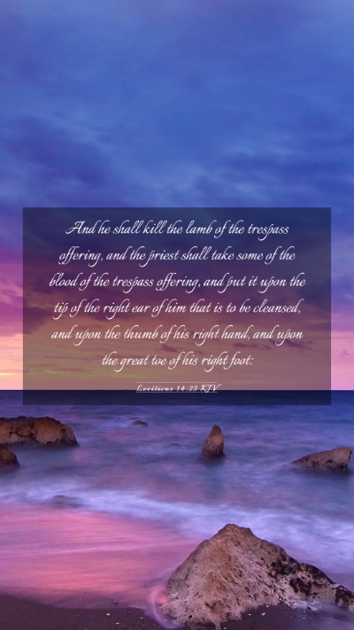 Picture 03 - Leviticus 14:25 KJV Mobile Phone Wallpaper - And he shall kill the lamb of the trespass - Mobile Bible Verse Wallpaper