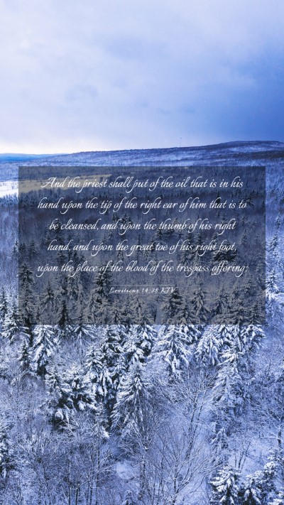 Picture 03 - Leviticus 14:28 KJV Mobile Phone Wallpaper - And the priest shall put of the oil that is in - Mobile Bible Verse Wallpaper