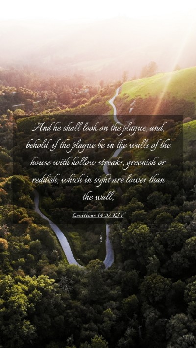 Picture 03 - Leviticus 14:37 KJV Mobile Phone Wallpaper - And he shall look on the plague, and, behold, if - Mobile Bible Verse Wallpaper
