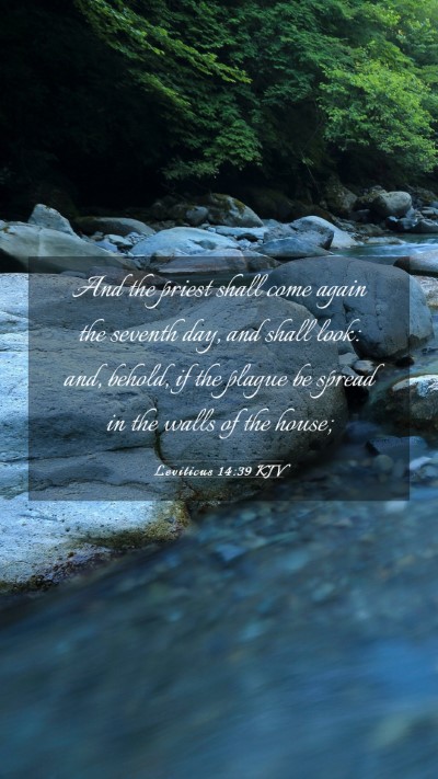 Picture 03 - Leviticus 14:39 KJV Mobile Phone Wallpaper - And the priest shall come again the seventh day, - Mobile Bible Verse Wallpaper
