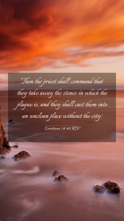 Picture 03 - Leviticus 14:40 KJV Mobile Phone Wallpaper - Then the priest shall command that they take away - Mobile Bible Verse Wallpaper