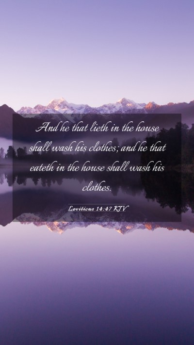 Picture 03 - Leviticus 14:47 KJV Mobile Phone Wallpaper - And he that lieth in the house shall wash his - Mobile Bible Verse Wallpaper