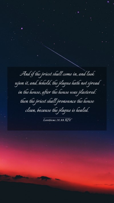 Picture 03 - Leviticus 14:48 KJV Mobile Phone Wallpaper - And if the priest shall come in, and look upon - Mobile Bible Verse Wallpaper