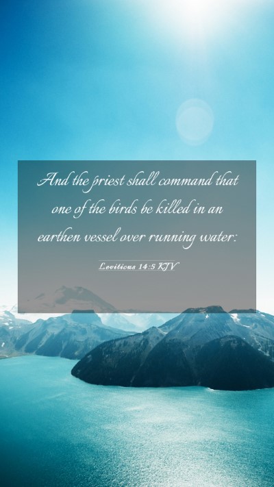Picture 03 - Leviticus 14:5 KJV Mobile Phone Wallpaper - And the priest shall command that one of the - Mobile Bible Verse Wallpaper