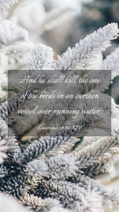 Picture 03 - Leviticus 14:50 KJV Mobile Phone Wallpaper - And he shall kill the one of the birds in an - Mobile Bible Verse Wallpaper