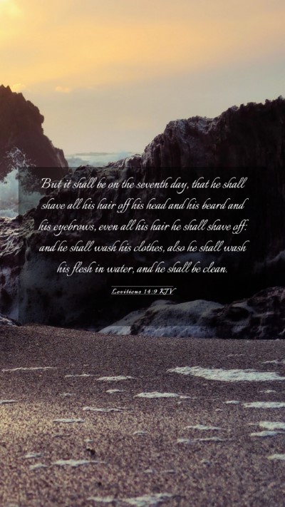 Picture 03 - Leviticus 14:9 KJV Mobile Phone Wallpaper - But it shall be on the seventh day, that he shall - Mobile Bible Verse Wallpaper