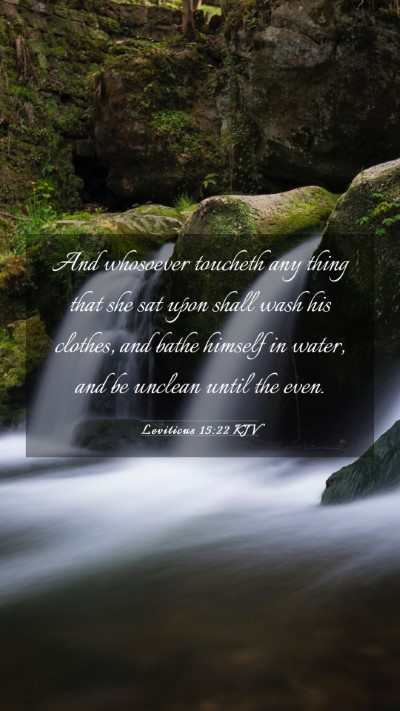 Picture 03 - Leviticus 15:22 KJV Mobile Phone Wallpaper - And whosoever toucheth any thing that she sat - Mobile Bible Verse Wallpaper