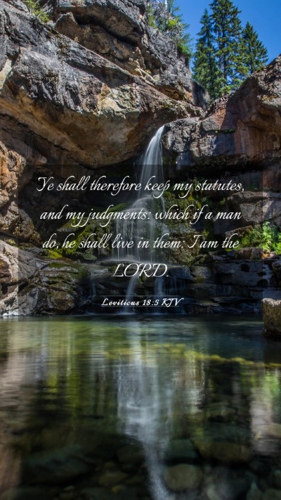 Picture 03 - Leviticus 18:5 KJV Mobile Phone Wallpaper - Ye shall therefore keep my statutes, and my - Mobile Bible Verse Wallpaper