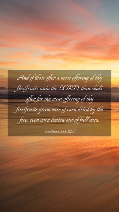 Picture 03 - Leviticus 2:14 KJV Mobile Phone Wallpaper - And if thou offer a meat offering of thy - Mobile Bible Verse Wallpaper