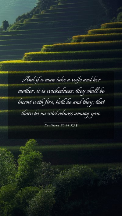 Picture 03 - Leviticus 20:14 KJV Mobile Phone Wallpaper - And if a man take a wife and her mother, it is - Mobile Bible Verse Wallpaper