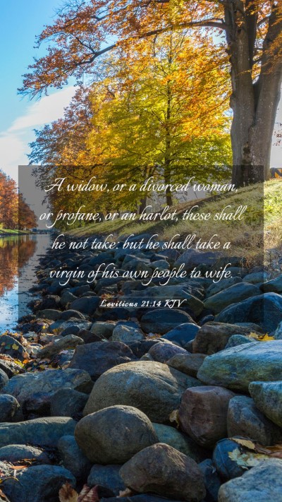 Picture 03 - Leviticus 21:14 KJV Mobile Phone Wallpaper - A widow, or a divorced woman, or profane, or an - Mobile Bible Verse Wallpaper
