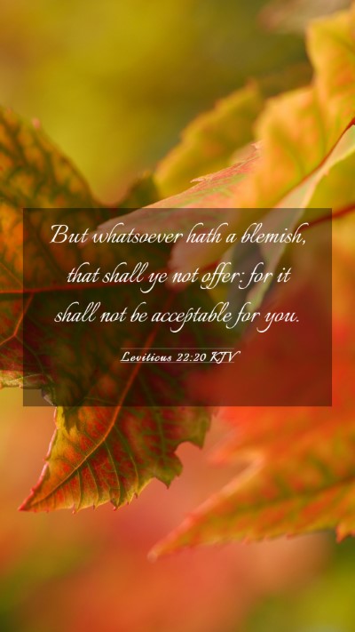 Picture 03 - Leviticus 22:20 KJV Mobile Phone Wallpaper - But whatsoever hath a blemish, that shall ye not - Mobile Bible Verse Wallpaper