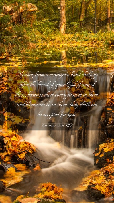 Picture 03 - Leviticus 22:25 KJV Mobile Phone Wallpaper - Neither from a stranger's hand shall ye offer the - Mobile Bible Verse Wallpaper