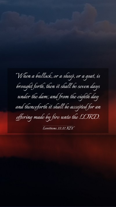 Picture 03 - Leviticus 22:27 KJV Mobile Phone Wallpaper - When a bullock, or a sheep, or a goat, is brought - Mobile Bible Verse Wallpaper