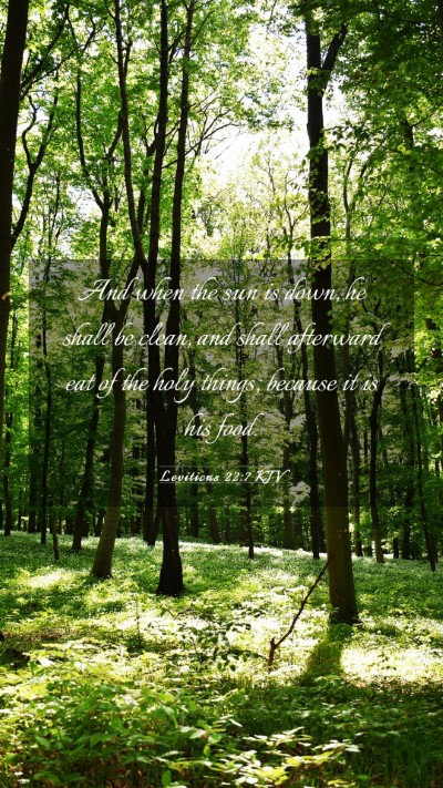 Picture 03 - Leviticus 22:7 KJV Mobile Phone Wallpaper - And when the sun is down, he shall be clean, and - Mobile Bible Verse Wallpaper