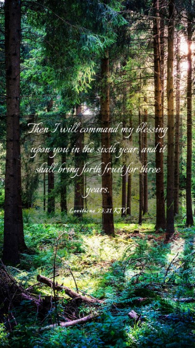 Picture 03 - Leviticus 25:21 KJV Mobile Phone Wallpaper - Then I will command my blessing upon you in the - Mobile Bible Verse Wallpaper