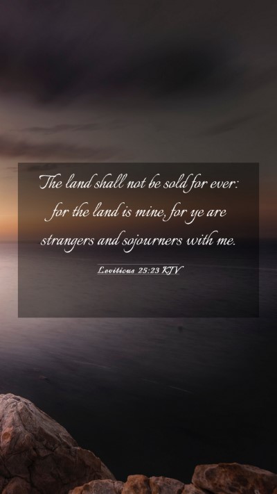 Picture 03 - Leviticus 25:23 KJV Mobile Phone Wallpaper - The land shall not be sold for ever: for the land - Mobile Bible Verse Wallpaper