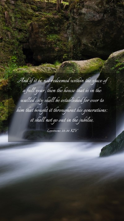 Picture 03 - Leviticus 25:30 KJV Mobile Phone Wallpaper - And if it be not redeemed within the space of a - Mobile Bible Verse Wallpaper