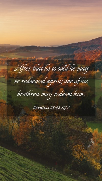 Picture 03 - Leviticus 25:48 KJV Mobile Phone Wallpaper - After that he is sold he may be redeemed again; - Mobile Bible Verse Wallpaper
