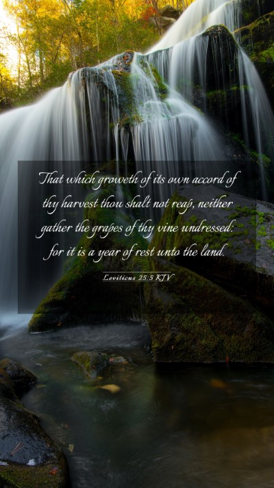 Picture 03 - Leviticus 25:5 KJV Mobile Phone Wallpaper - That which groweth of its own accord of thy - Mobile Bible Verse Wallpaper