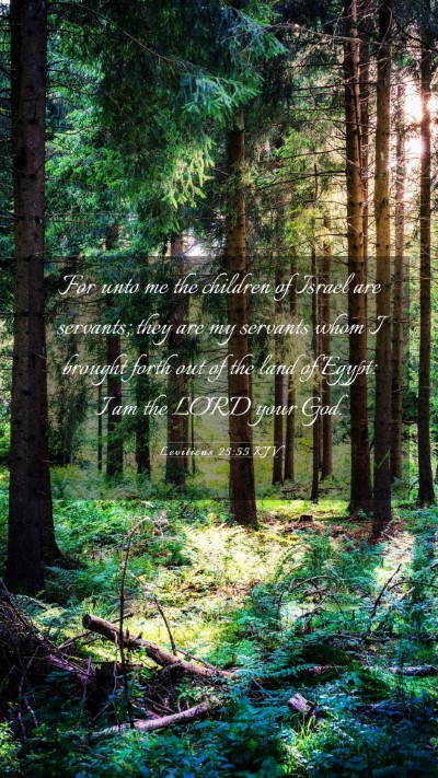 Picture 03 - Leviticus 25:55 KJV Mobile Phone Wallpaper - For unto me the children of Israel are servants; - Mobile Bible Verse Wallpaper
