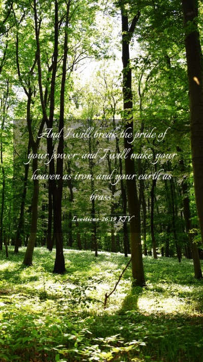 Picture 03 - Leviticus 26:19 KJV Mobile Phone Wallpaper - And I will break the pride of your power; and I - Mobile Bible Verse Wallpaper