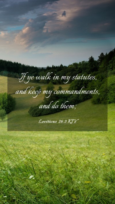 Picture 03 - Leviticus 26:3 KJV Mobile Phone Wallpaper - If ye walk in my statutes, and keep my - Mobile Bible Verse Wallpaper