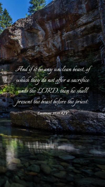 Picture 03 - Leviticus 27:11 KJV Mobile Phone Wallpaper - And if it be any unclean beast, of which they do - Mobile Bible Verse Wallpaper