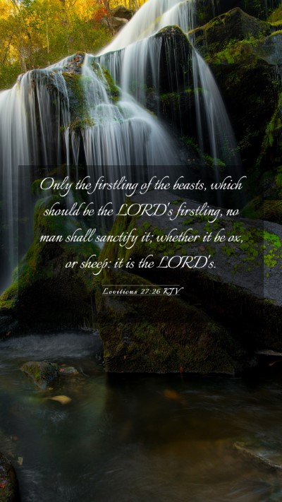 Picture 03 - Leviticus 27:26 KJV Mobile Phone Wallpaper - Only the firstling of the beasts, which should be - Mobile Bible Verse Wallpaper