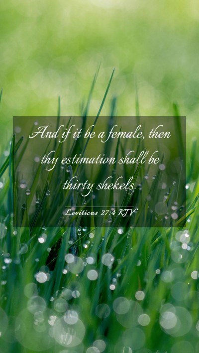 Picture 03 - Leviticus 27:4 KJV Mobile Phone Wallpaper - And if it be a female, then thy estimation shall - Mobile Bible Verse Wallpaper