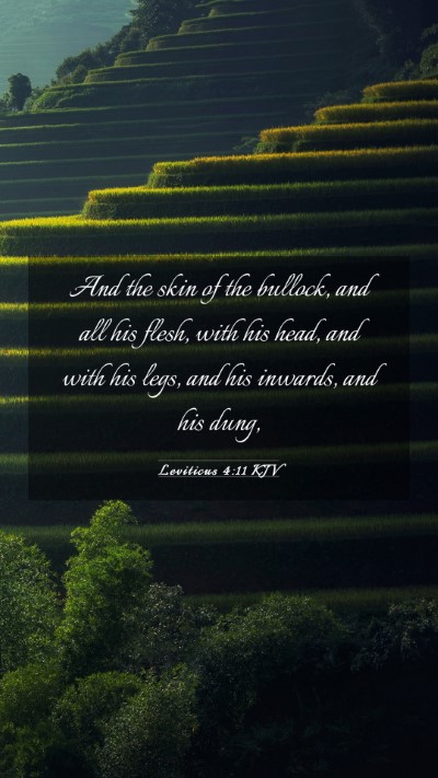 Picture 03 - Leviticus 4:11 KJV Mobile Phone Wallpaper - And the skin of the bullock, and all his flesh, - Mobile Bible Verse Wallpaper