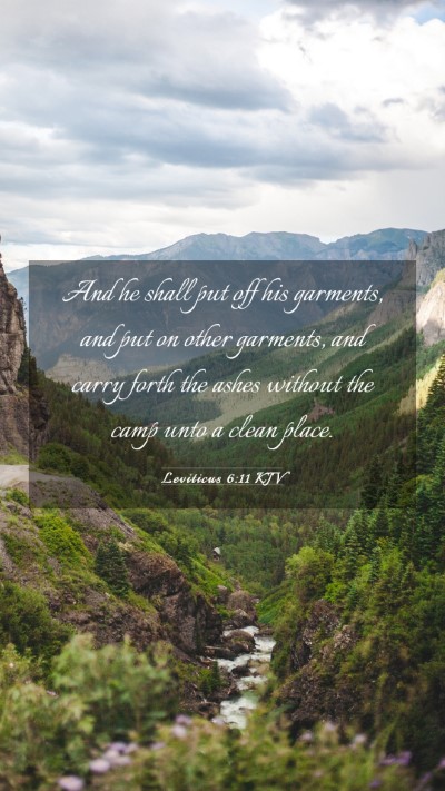 Picture 03 - Leviticus 6:11 KJV Mobile Phone Wallpaper - And he shall put off his garments, and put on - Mobile Bible Verse Wallpaper