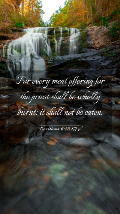 Picture 03 - Leviticus 6:23 KJV Mobile Phone Wallpaper - For every meat offering for the priest shall be - Mobile Bible Verse Wallpaper
