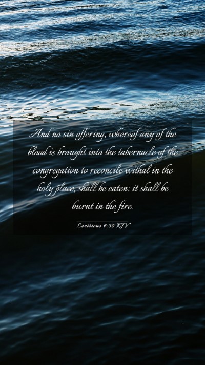 Picture 03 - Leviticus 6:30 KJV Mobile Phone Wallpaper - And no sin offering, whereof any of the blood is - Mobile Bible Verse Wallpaper