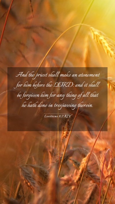 Picture 03 - Leviticus 6:7 KJV Mobile Phone Wallpaper - And the priest shall make an atonement for him - Mobile Bible Verse Wallpaper