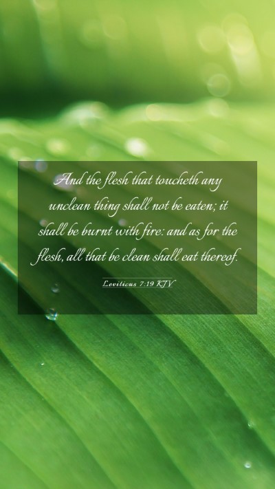 Picture 03 - Leviticus 7:19 KJV Mobile Phone Wallpaper - And the flesh that toucheth any unclean thing - Mobile Bible Verse Wallpaper