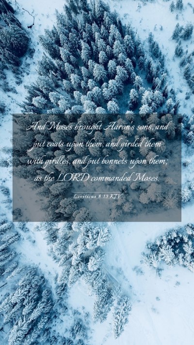 Picture 03 - Leviticus 8:13 KJV Mobile Phone Wallpaper - And Moses brought Aaron's sons, and put coats - Mobile Bible Verse Wallpaper